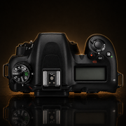 Nikon D7500 DSLR Camera Body
