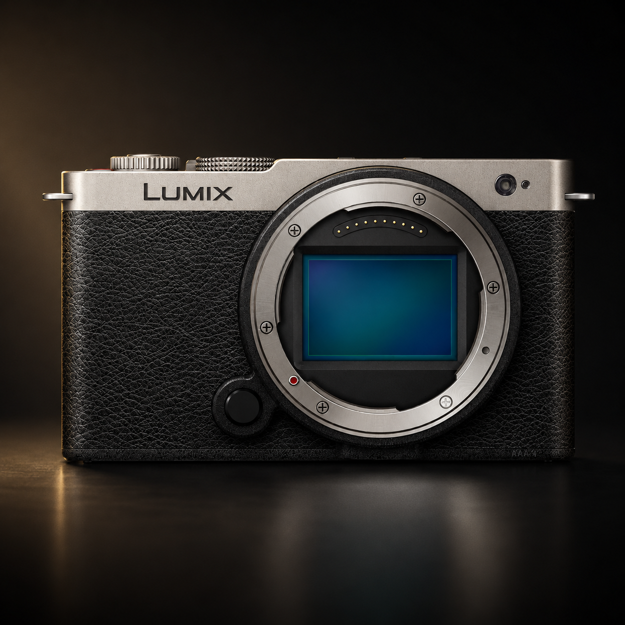 Panasonic Lumix S9 Body - Silver